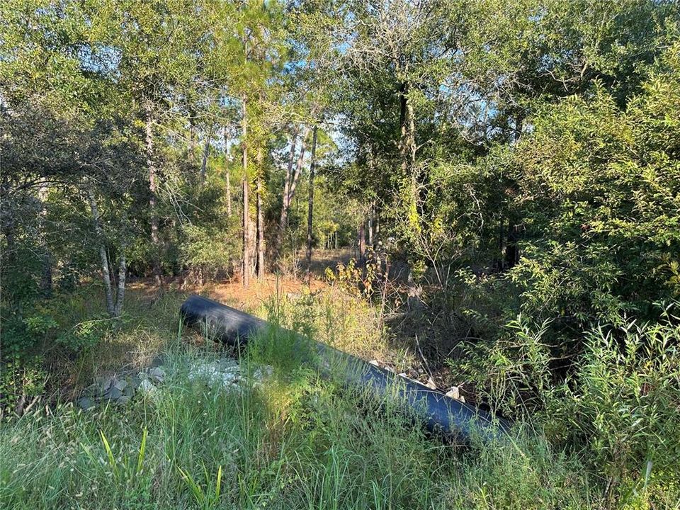 待售: $38,900 (1.34 acres)