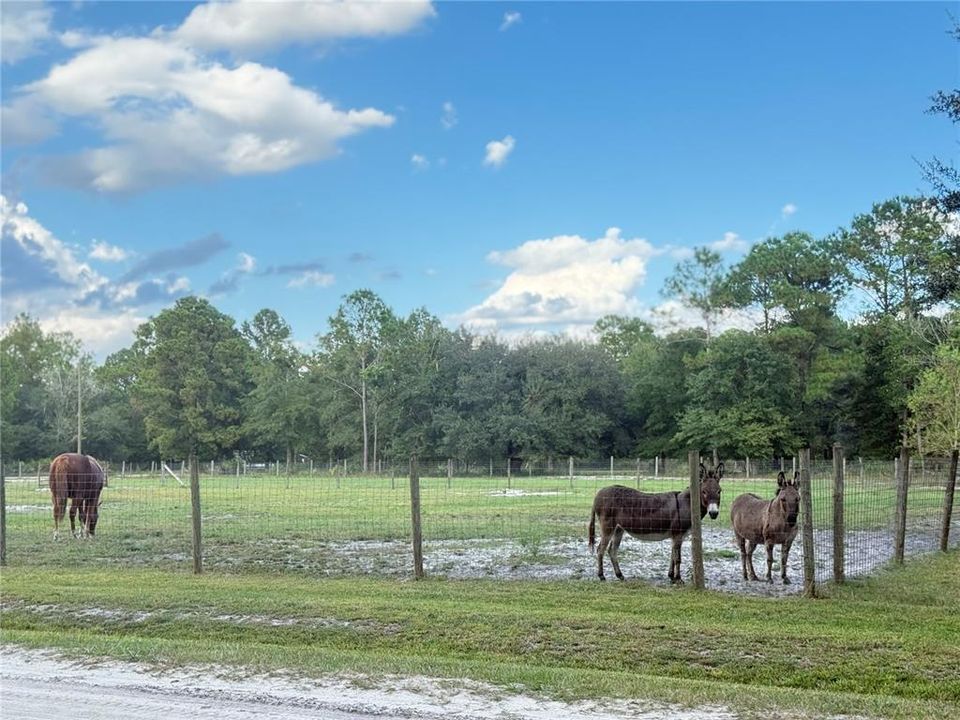 En Venta: $115,000 (5.00 acres)