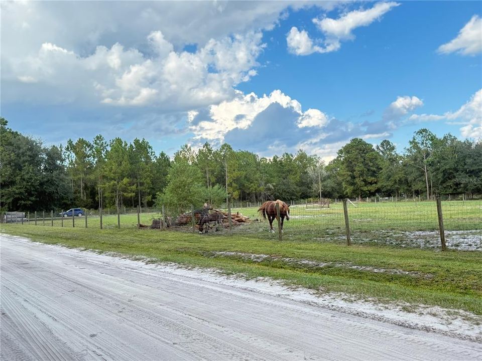 En Venta: $115,000 (5.00 acres)