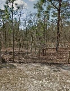 На продажу: $22,000 (0.31 acres)