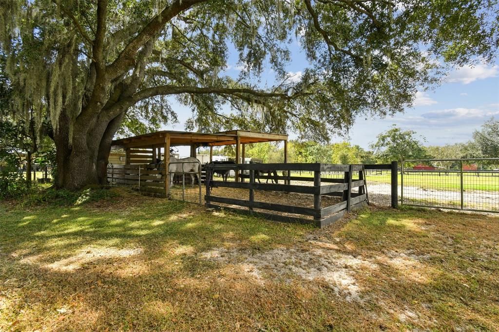 待售: $775,000 (4.84 acres)