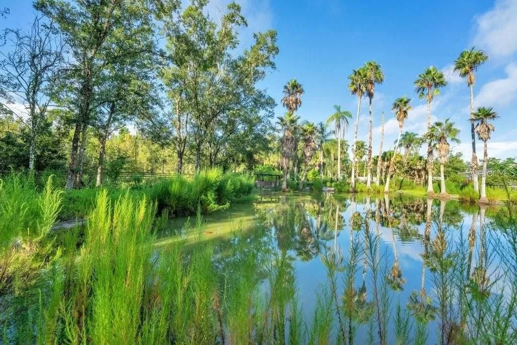 На продажу: $259,900 (2.60 acres)