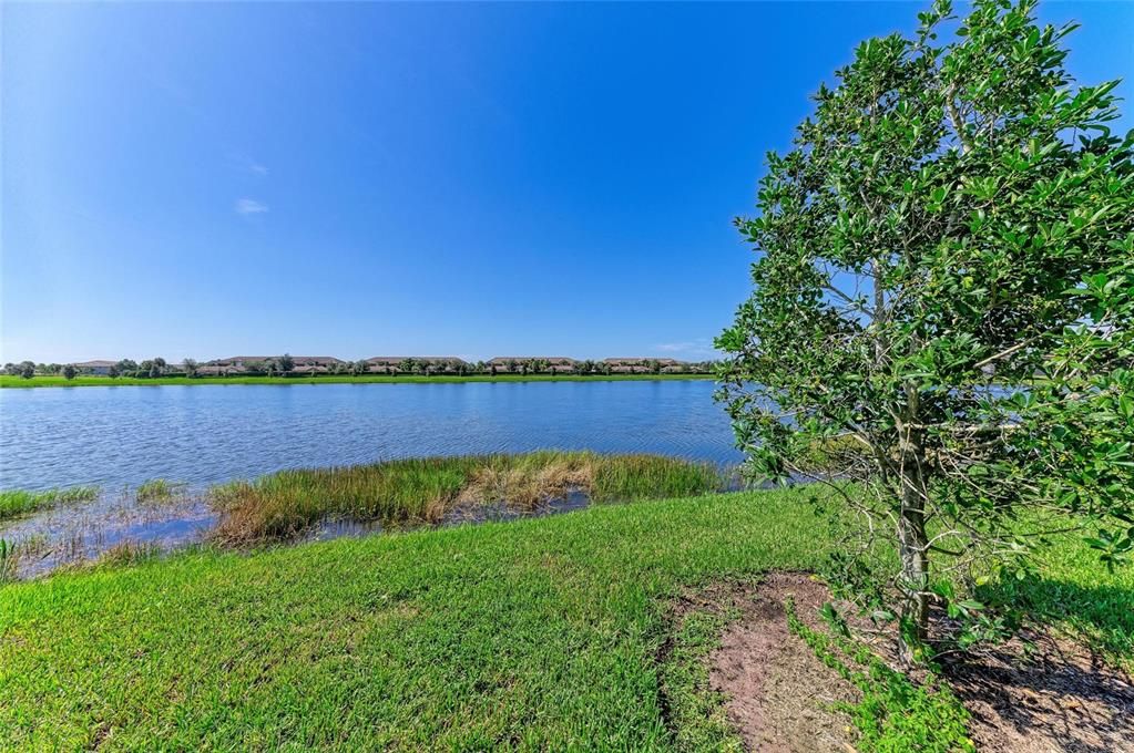 Под контрактом: $924,900 (4 спален, 2 ванн, 2248 Квадратных фут)