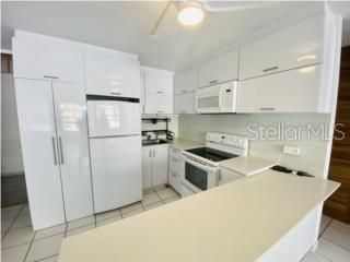 出租: $1,650 (1 贝兹, 1 浴室, 665 平方英尺)