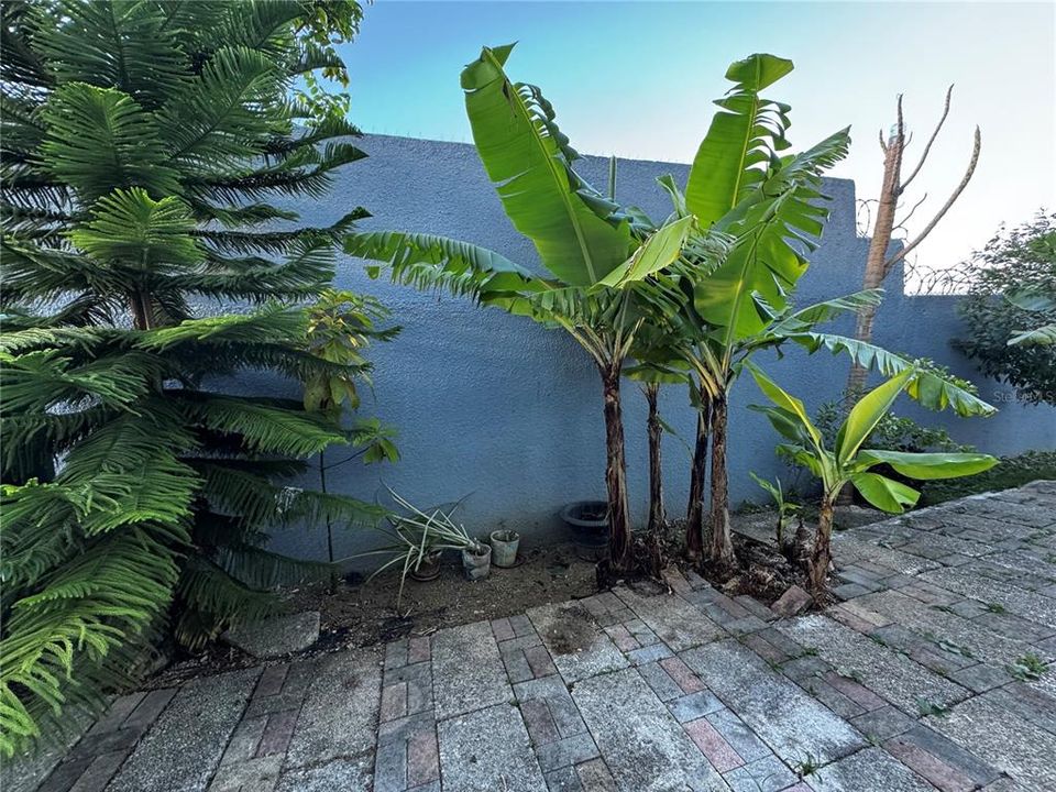 出租: $1,500 (3 贝兹, 2 浴室, 1200 平方英尺)