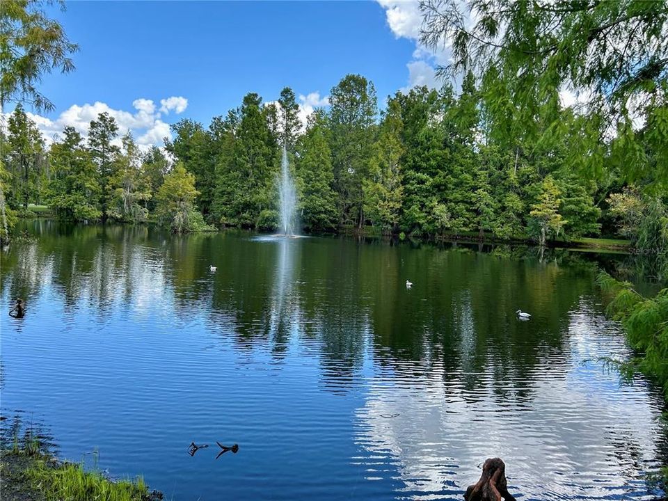 На продажу: $49,500 (0.05 acres)