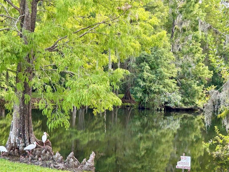 На продажу: $49,500 (0.05 acres)