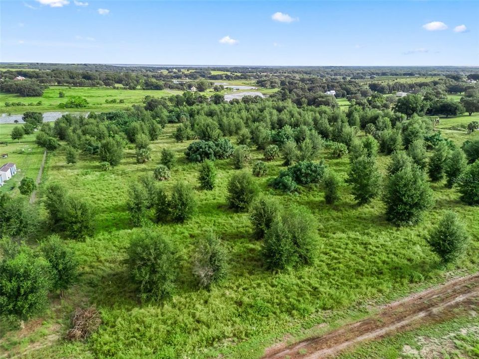 En Venta: $2,499,000 (20.00 acres)