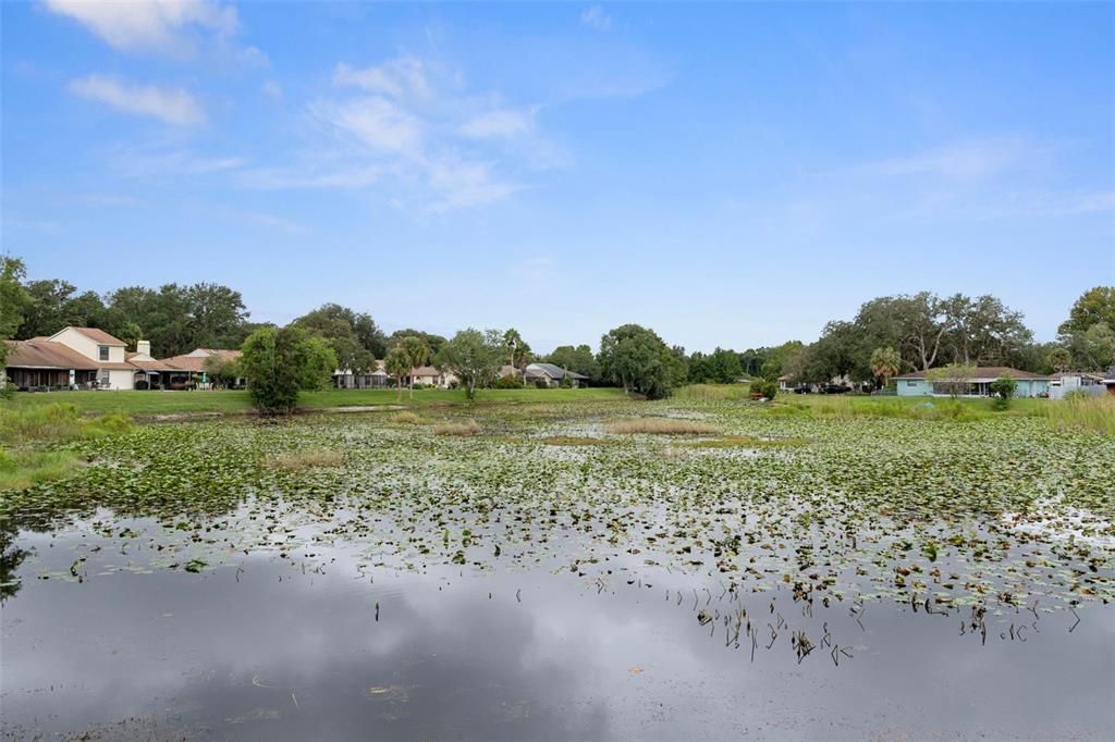 待售: $214,900 (3 贝兹, 2 浴室, 1202 平方英尺)