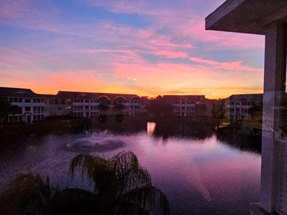 En Renta: $1,450 (1 camas, 1 baños, 794 Pies cuadrados)