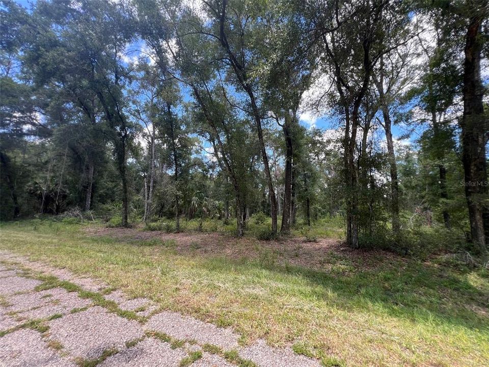 待售: $25,000 (0.35 acres)