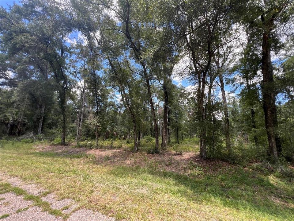 待售: $25,000 (0.35 acres)