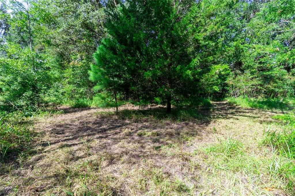 待售: $299,900 (2 贝兹, 2 浴室, 644 平方英尺)