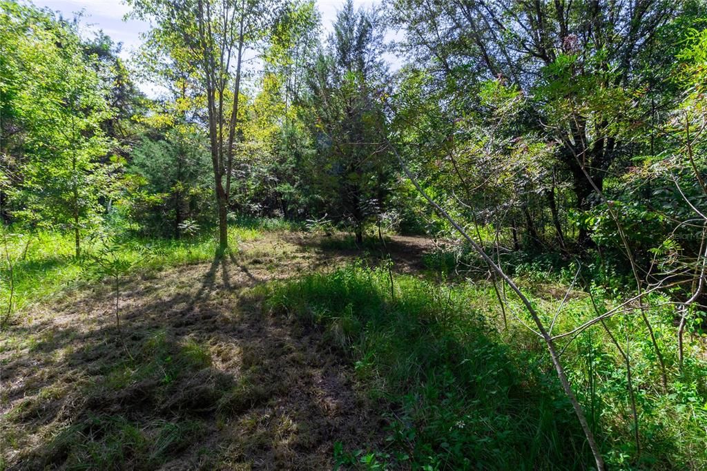 待售: $299,900 (2 贝兹, 2 浴室, 644 平方英尺)