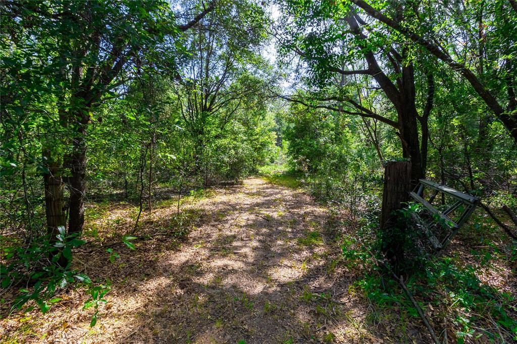 待售: $299,900 (2 贝兹, 2 浴室, 644 平方英尺)