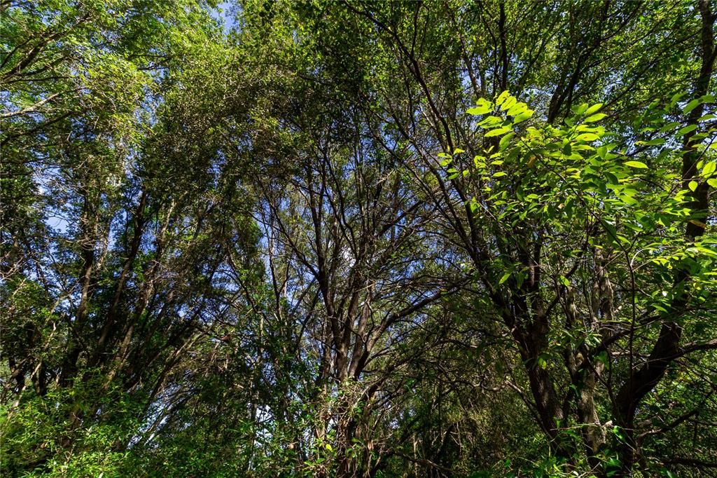 待售: $299,900 (2 贝兹, 2 浴室, 644 平方英尺)