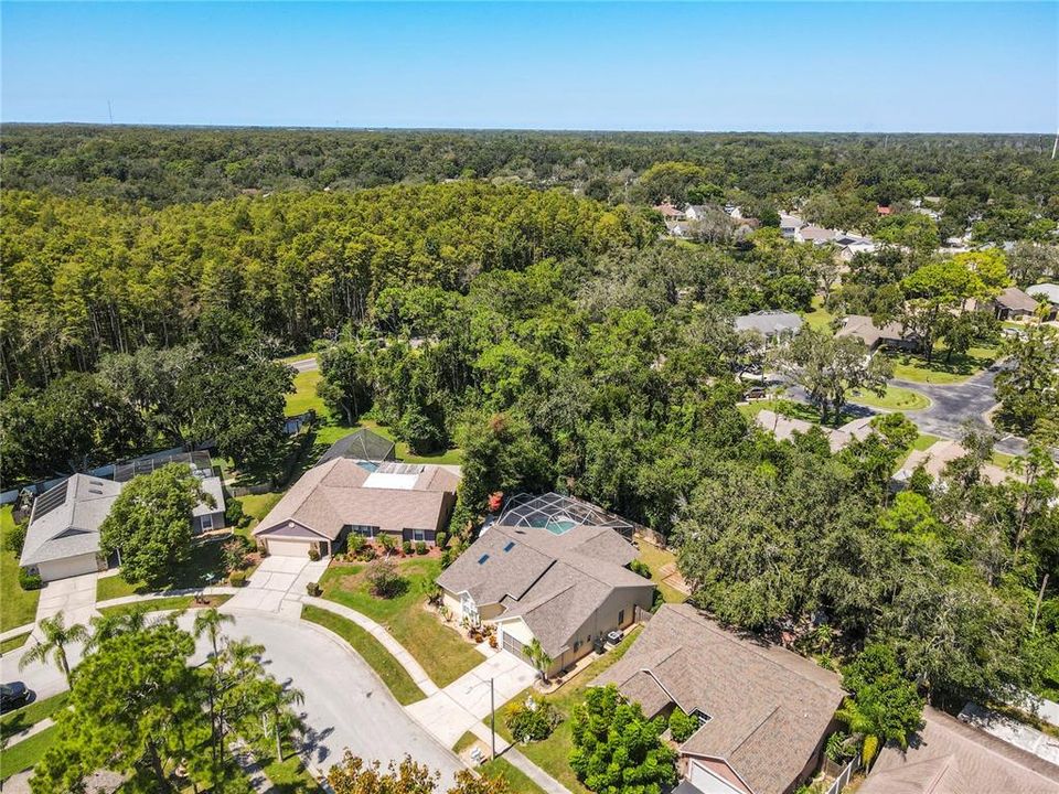 Под контрактом: $400,000 (3 спален, 2 ванн, 1664 Квадратных фут)