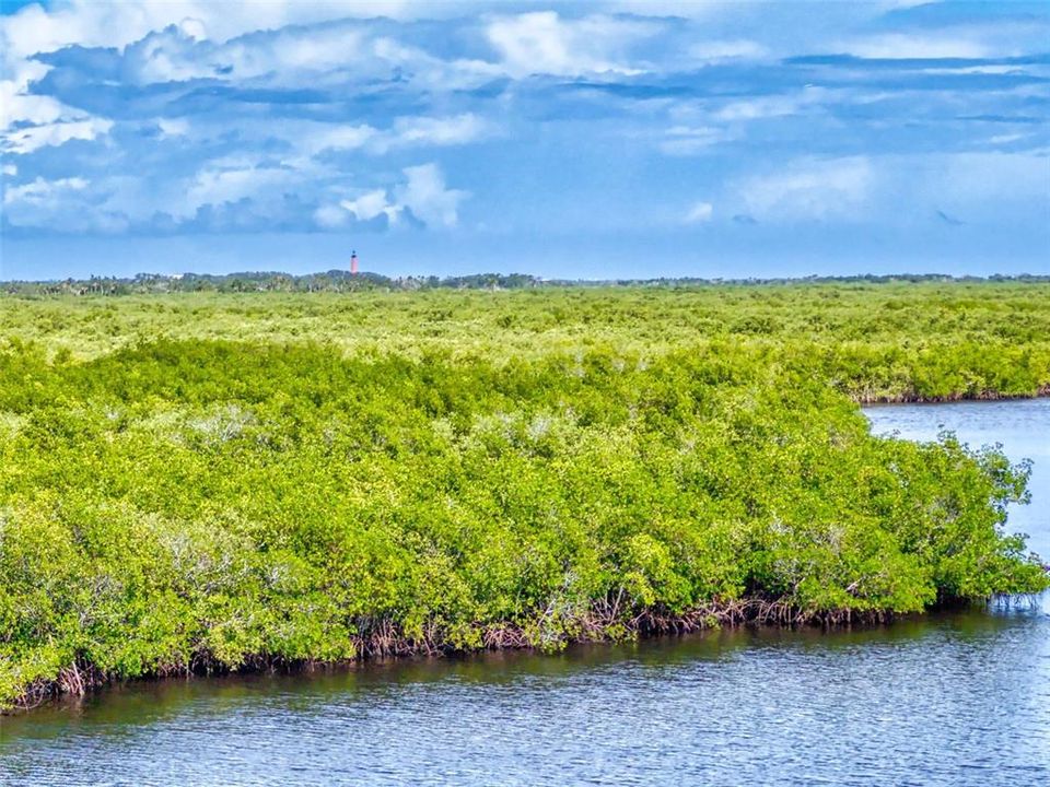 Под контрактом: $650,000 (3 спален, 2 ванн, 1697 Квадратных фут)