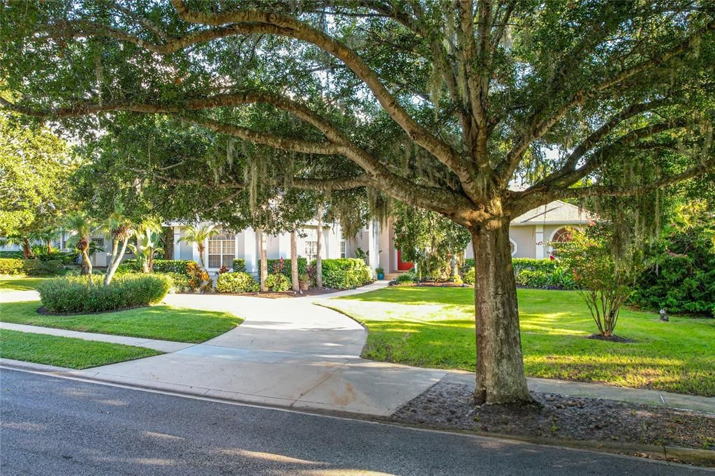 Под контрактом: $1,290,000 (6 спален, 4 ванн, 4016 Квадратных фут)