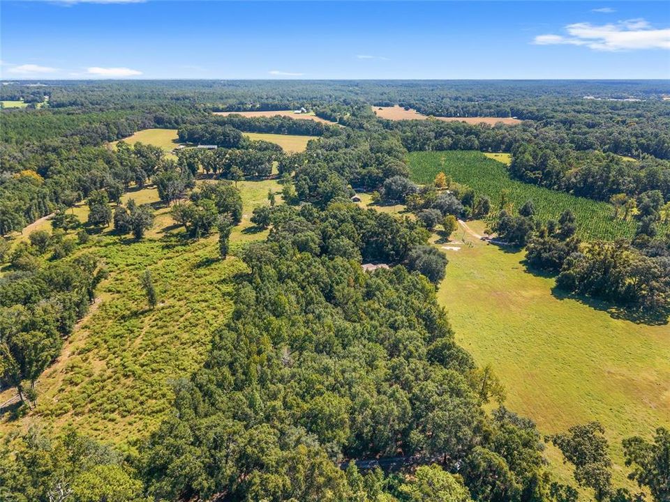 На продажу: $275,000 (3 спален, 2 ванн, 1248 Квадратных фут)