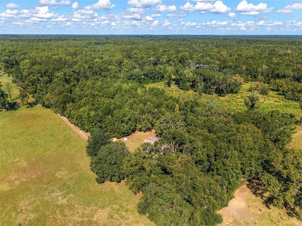 На продажу: $275,000 (3 спален, 2 ванн, 1248 Квадратных фут)