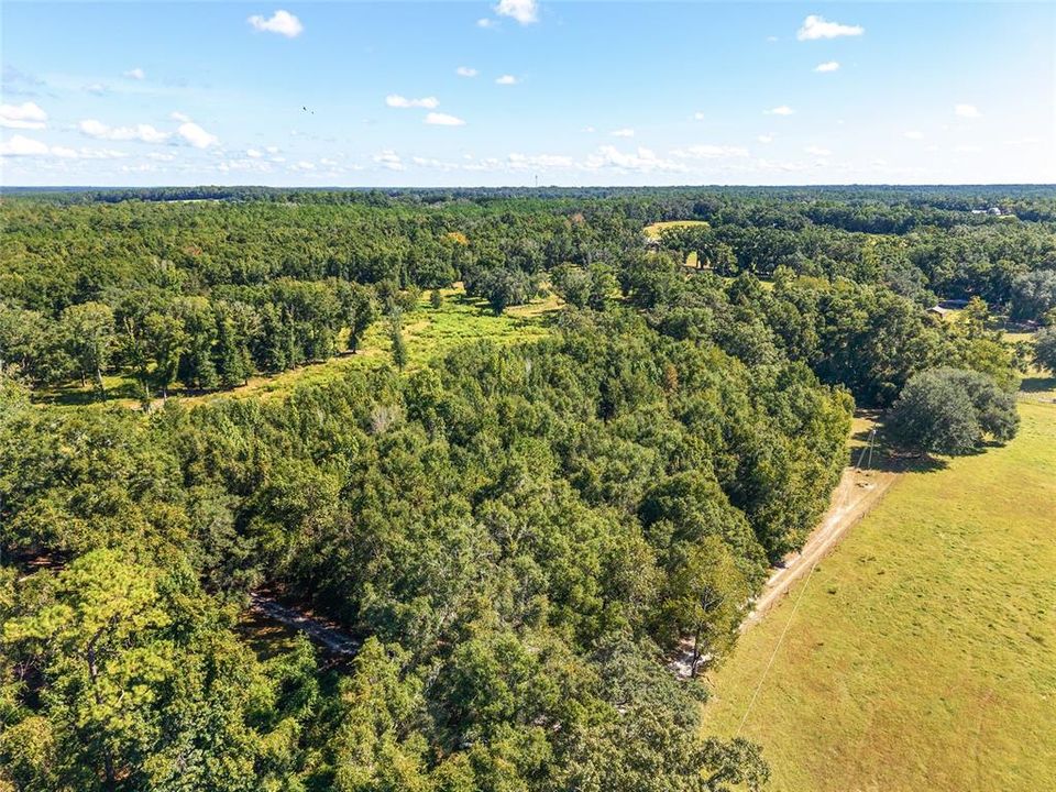 На продажу: $275,000 (3 спален, 2 ванн, 1248 Квадратных фут)