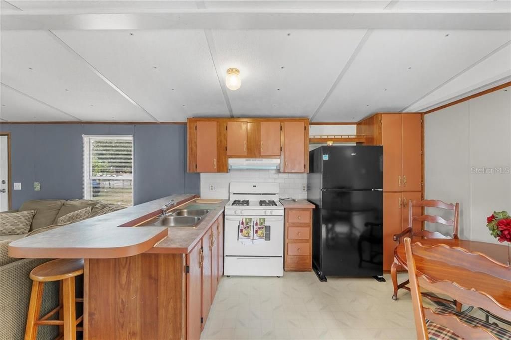 For Sale: $132,200 (3 beds, 2 baths, 924 Square Feet)