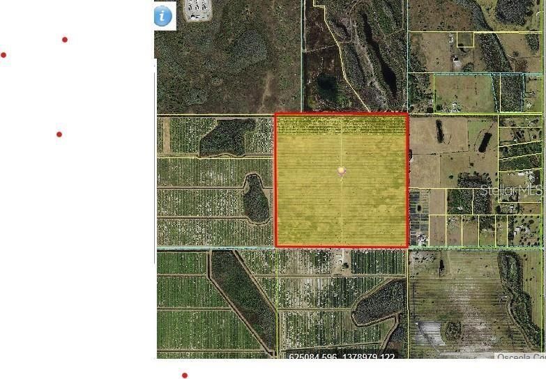 For Sale: $1,400,000 (40.00 acres)