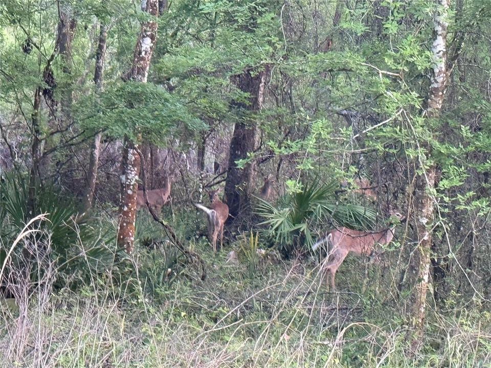 En Venta: $499,990 (2 camas, 1 baños, 896 Pies cuadrados)