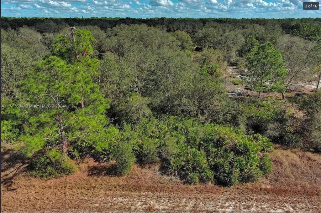 For Sale: $40,000 (0.50 acres)