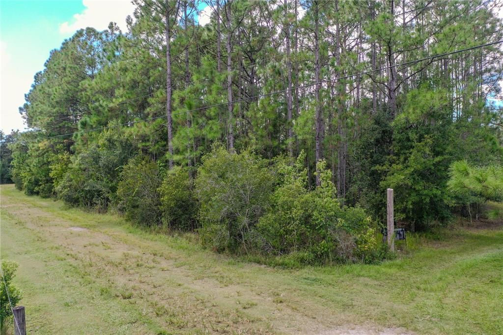 Active With Contract: $239,900 (3 beds, 2 baths, 1456 Square Feet)