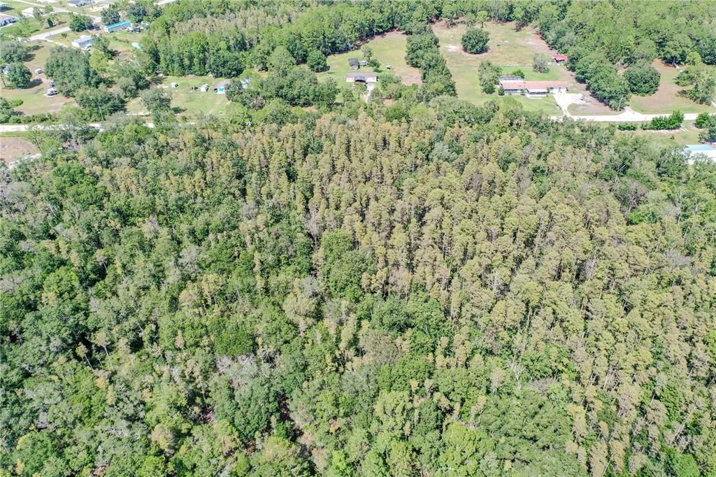 Active With Contract: $239,900 (3 beds, 2 baths, 1456 Square Feet)