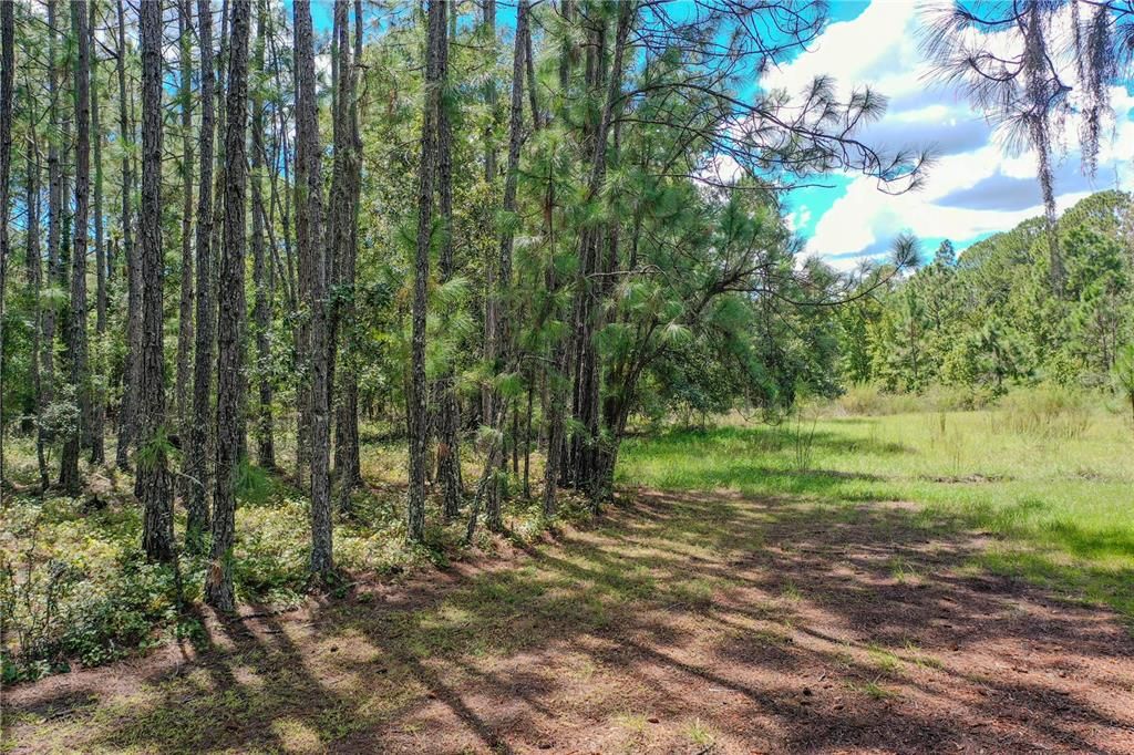 Active With Contract: $239,900 (3 beds, 2 baths, 1456 Square Feet)