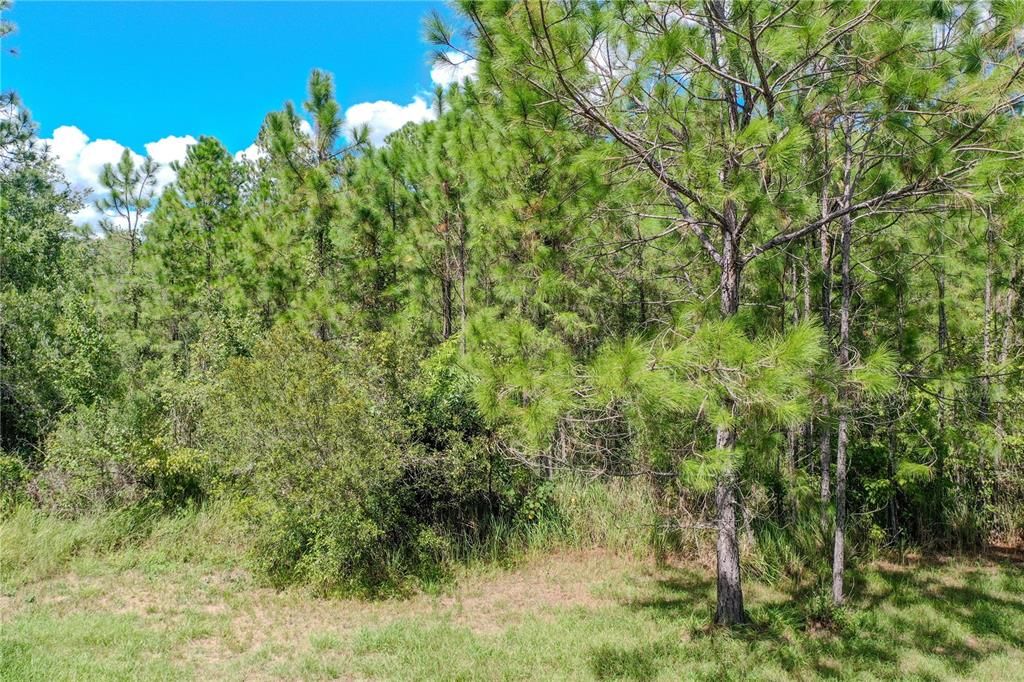 Active With Contract: $239,900 (3 beds, 2 baths, 1456 Square Feet)