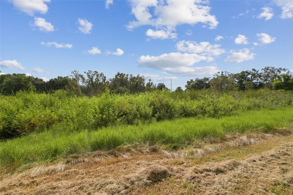 合同活跃: $525,000 (4 贝兹, 3 浴室, 2448 平方英尺)