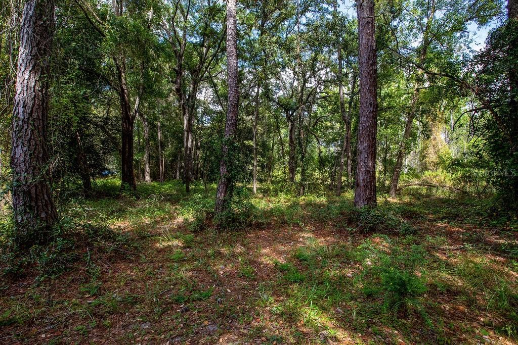 For Sale: $200,000 (3 beds, 2 baths, 1736 Square Feet)