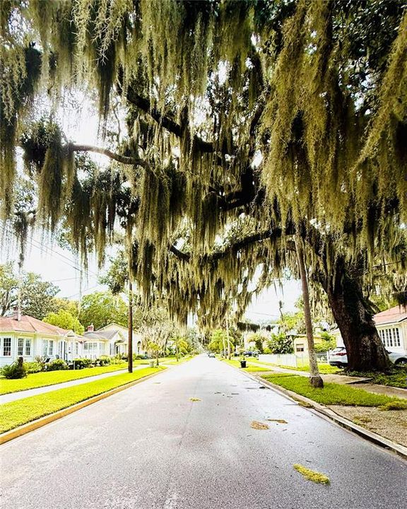 待售: $362,250 (2 贝兹, 2 浴室, 1383 平方英尺)