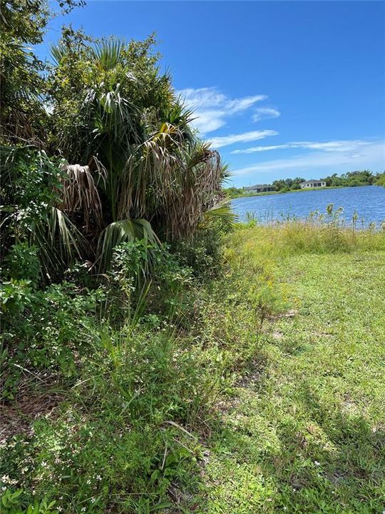 На продажу: $60,000 (0.19 acres)