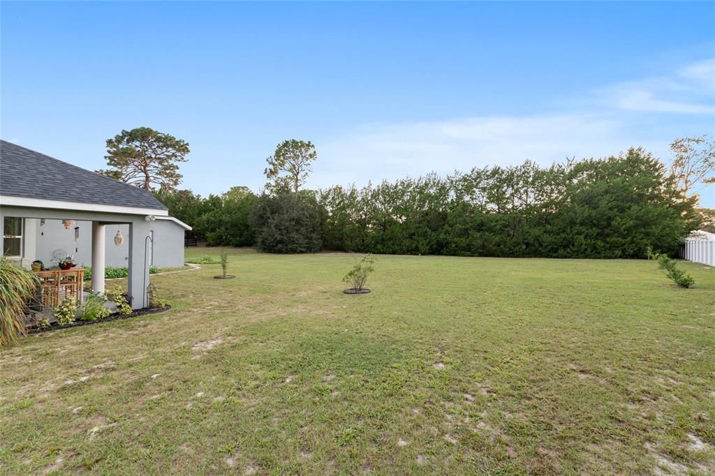 Activo con contrato: $519,000 (4 camas, 3 baños, 2916 Pies cuadrados)