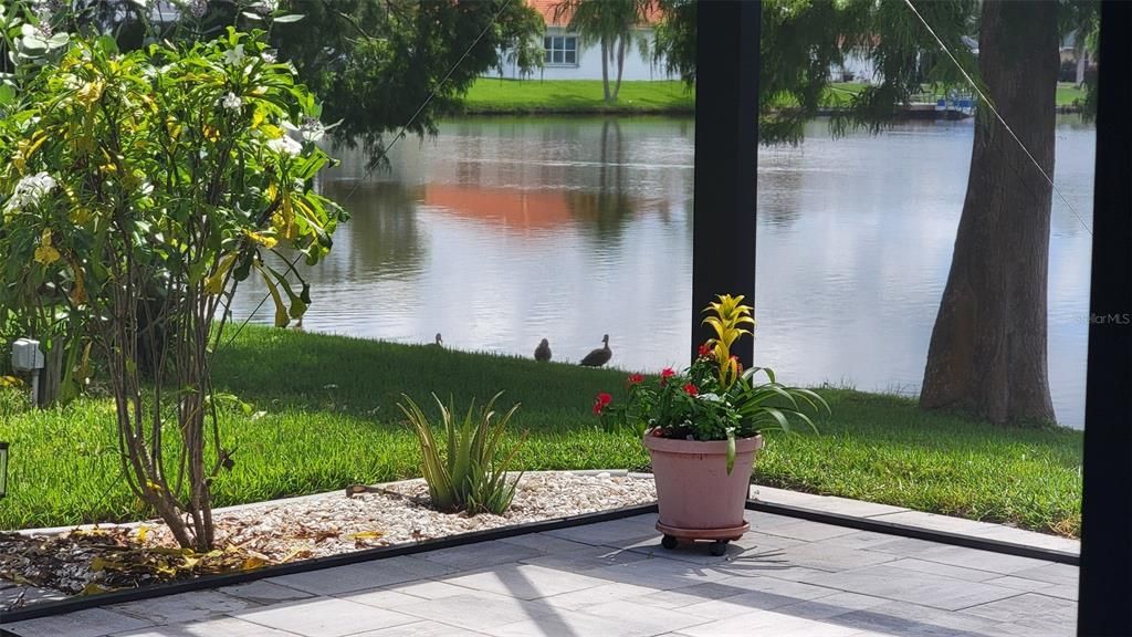 合同活跃: $569,000 (3 贝兹, 2 浴室, 2330 平方英尺)