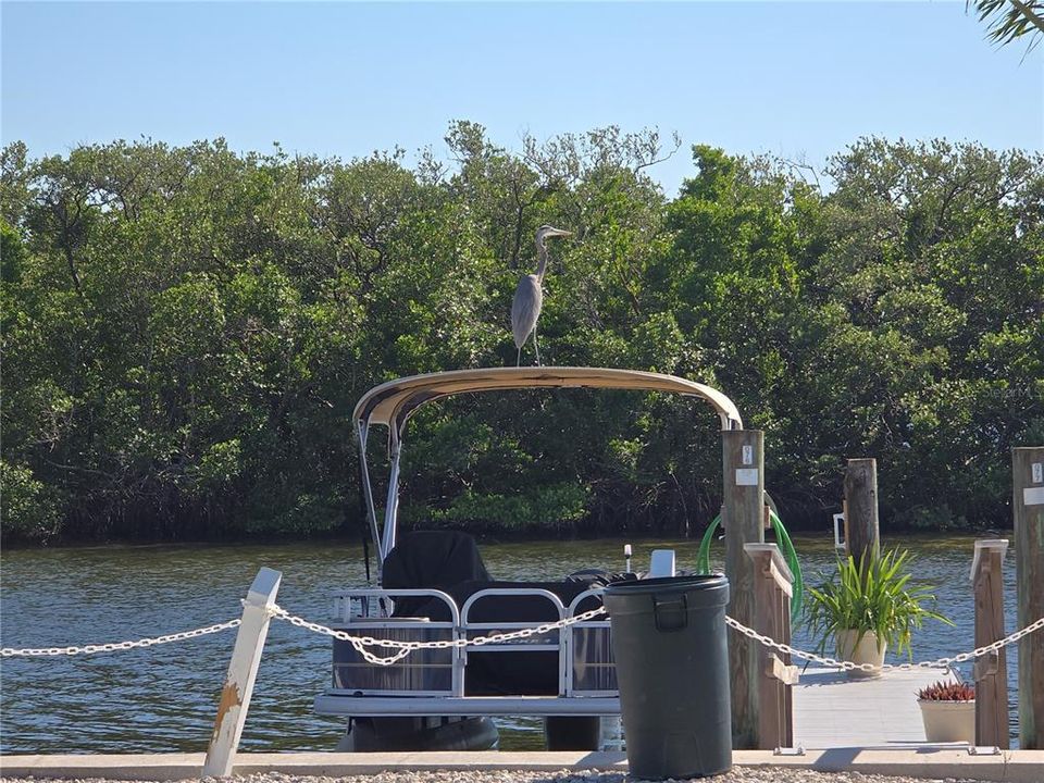 Под контрактом: $379,900 (2 спален, 2 ванн, 1188 Квадратных фут)