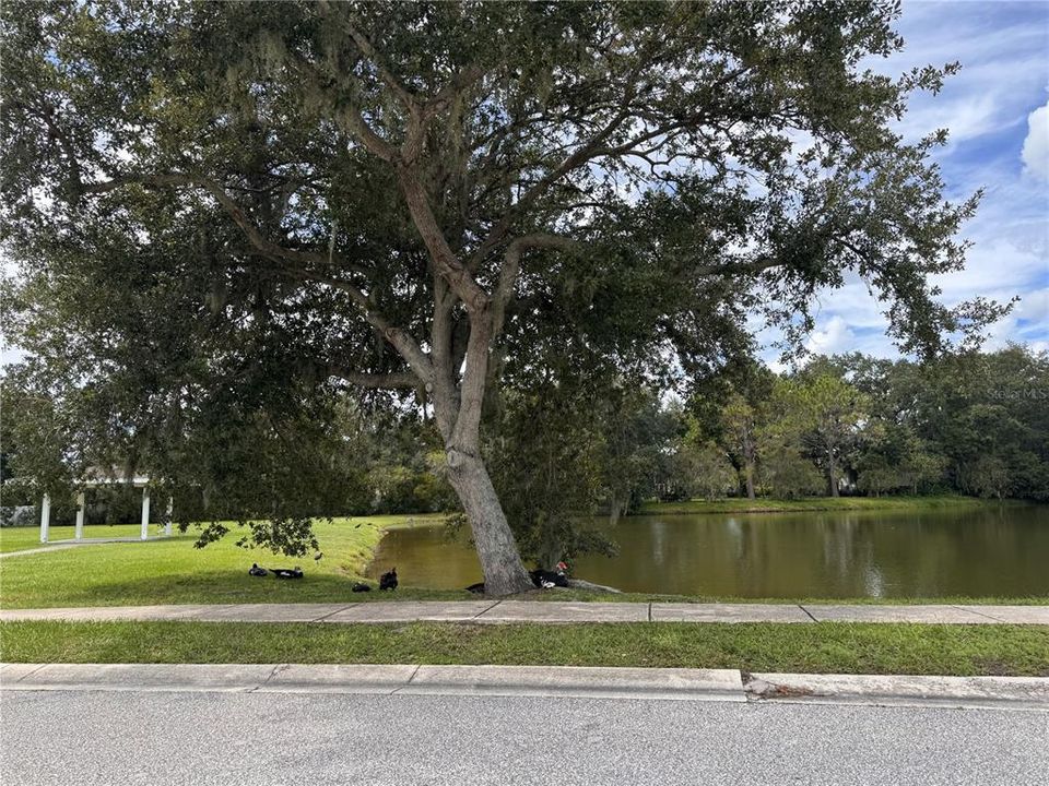 Activo con contrato: $350,000 (4 camas, 2 baños, 1754 Pies cuadrados)