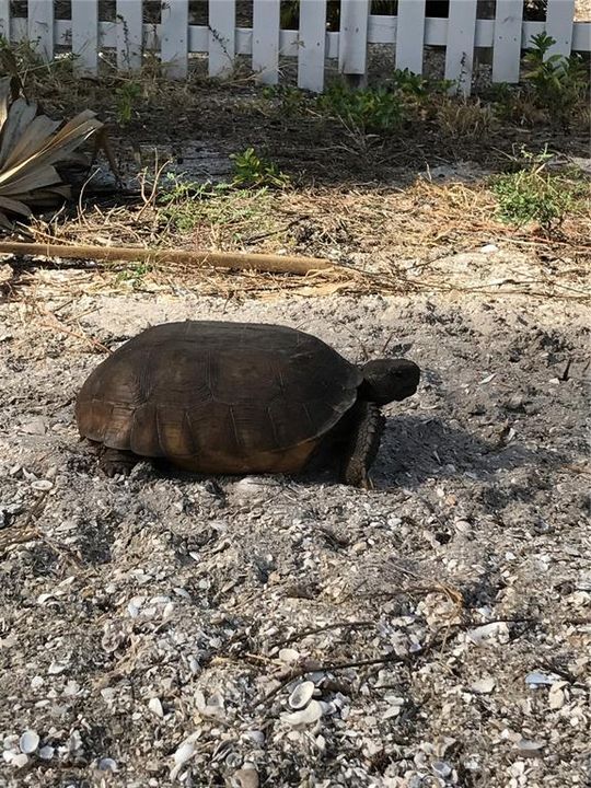 待售: $795,000 (2 贝兹, 2 浴室, 1056 平方英尺)