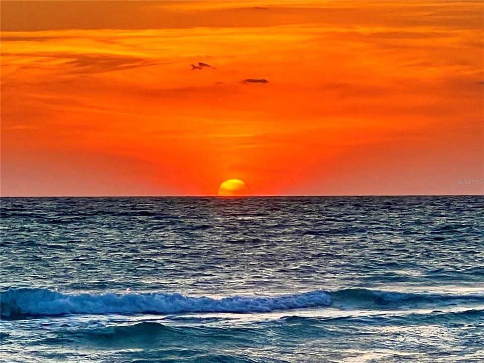 待售: $795,000 (2 贝兹, 2 浴室, 1056 平方英尺)