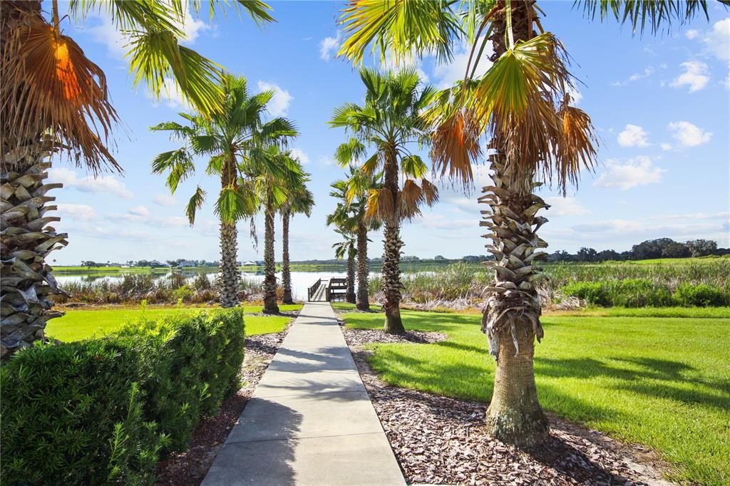 En Venta: $140,000 (0.27 acres)