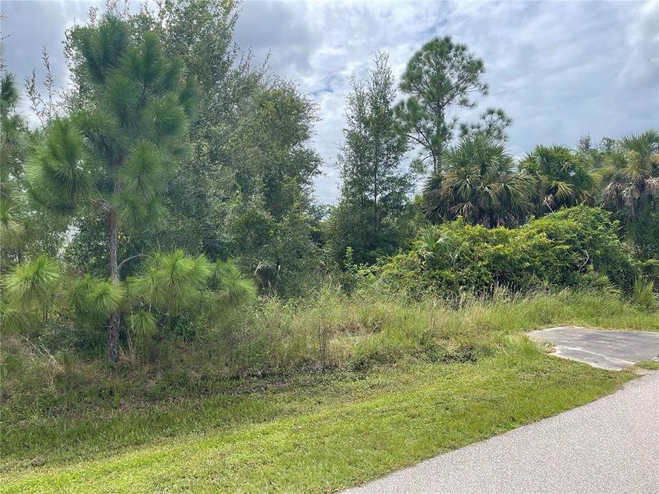 For Sale: $19,000 (0.18 acres)