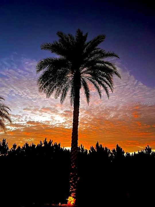 En Venta: $169,900 (2 camas, 2 baños, 480 Pies cuadrados)