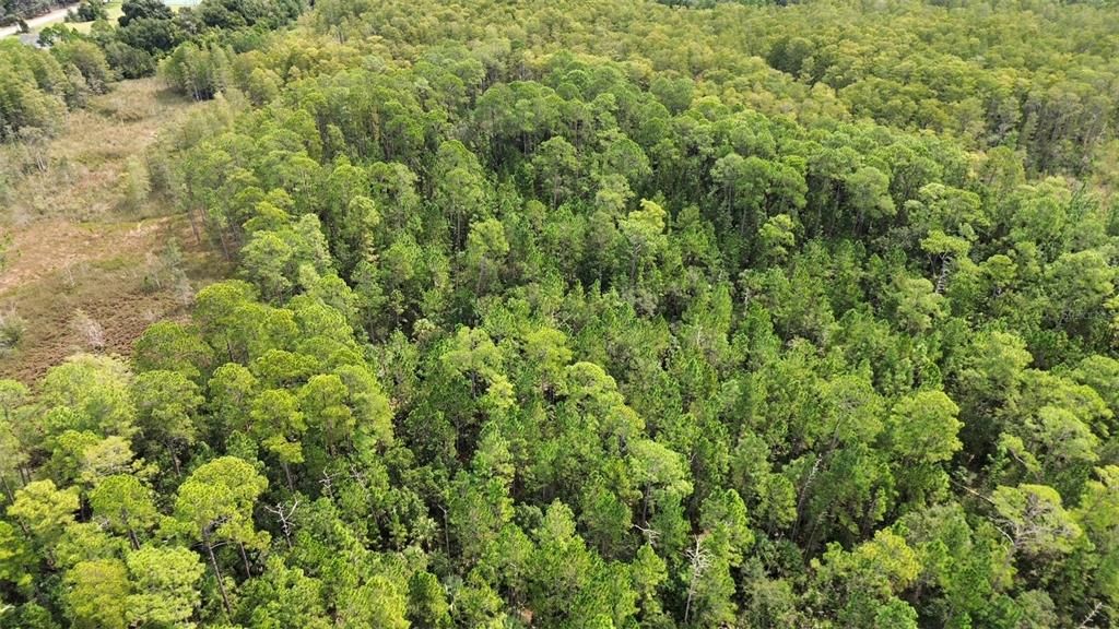 На продажу: $40,000 (0.34 acres)