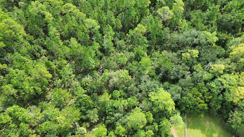 На продажу: $40,000 (0.34 acres)