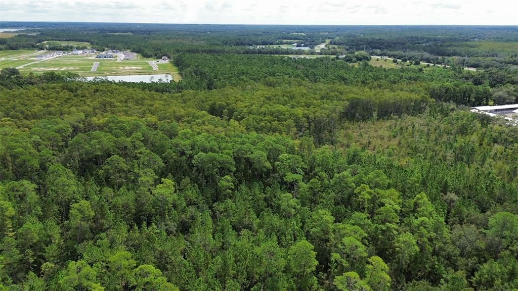 На продажу: $40,000 (0.34 acres)